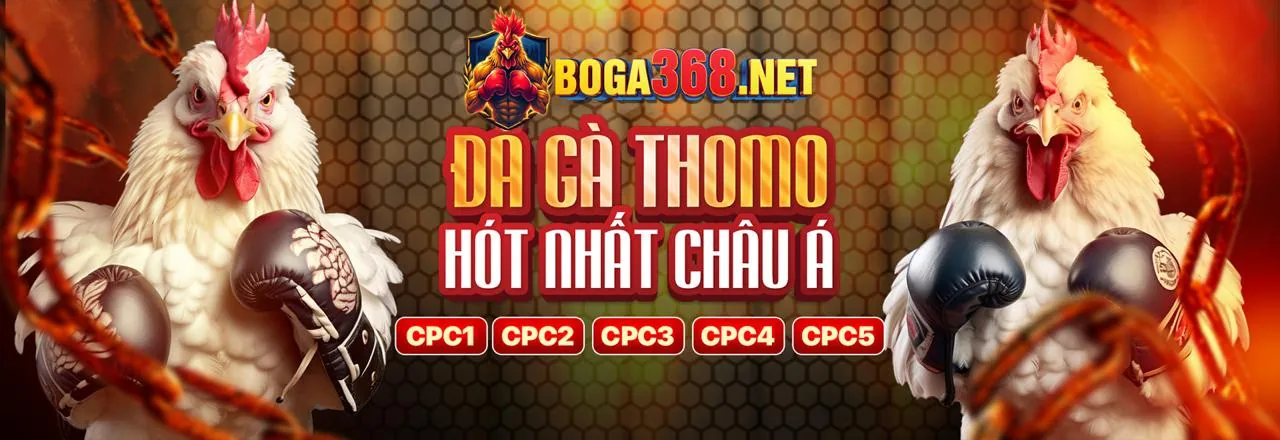 Đá Gà Trực Tuyến Hấp Dẫn tại fd88 win